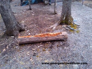 six cords of firewood $20 www.emergencywelltube.com