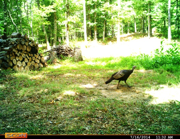 Scouting Your Bug-Out Location www.emergencywelltube.com